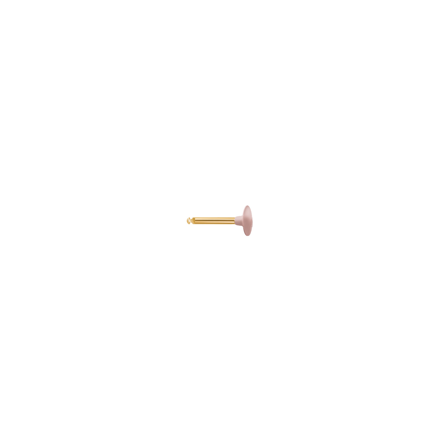 polissoir diamanté EVE-DIACOMP lentille DCP2 grain moyen