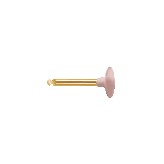 polissoir diamanté EVE-DIACOMP lentille DCP2 grain moyen