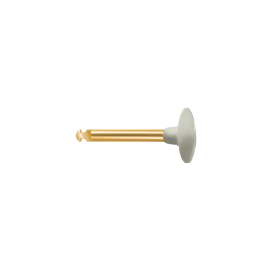 polissoir diamanté EVE-DIACOMP lentille DCP2 grain fin